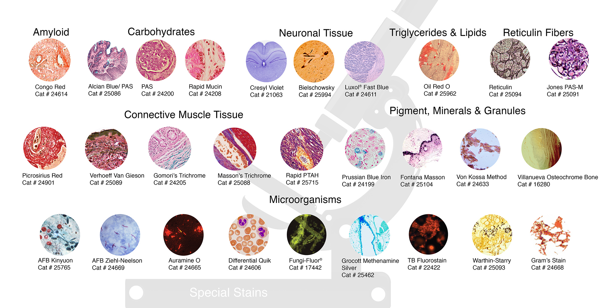 histological stains
