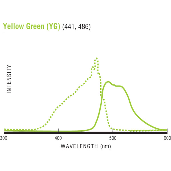 Yellow Green (YG)発光/励起波長グラフ