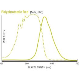 Fluoresbrite® Polychromatic Red Microspheres  0.5µm