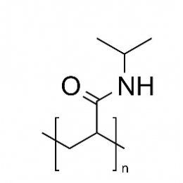 Poly(N-isopropylacrylamide) (PNiPAM) 