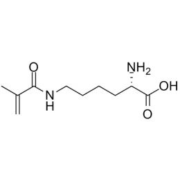 Methacryloyl-L-Lysine