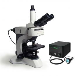 Upright Fluorescence Microscope