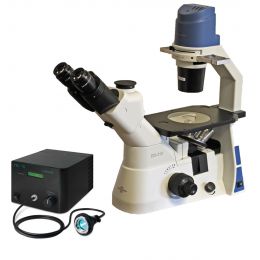 Inverted Fluorescence Microscope