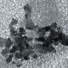 BioMag® Superparamagnetic Iron Oxide, ~10µm