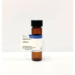 LipoVector™ Transfection Reagent