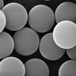 Silica Microspheres - Dry, 0.5µm